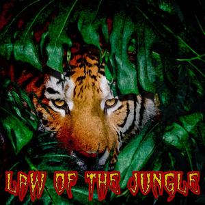 Law of the Jungle