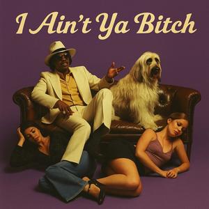 I Ain't ya Bitch