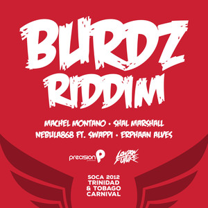 Burdz Riddim (Soca 2012 Trinidad and Tobago Carnival)