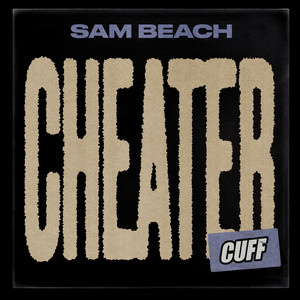 Cheater (Original Mix)