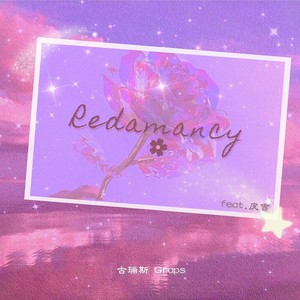 Redamancy