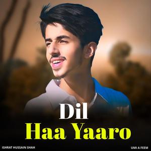 Dil haa yaaro (feat. Ishrat hussain shah)