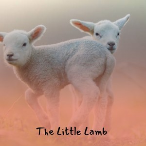 The Little Lamb