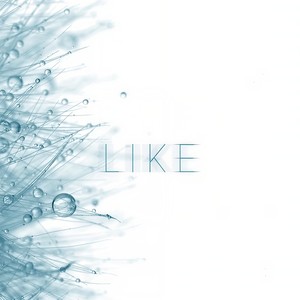 喜欢liKE