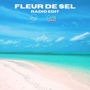 Fleur de sel (feat. Stereotic) (Radio Edit)