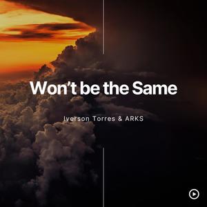 Won't be the same (feat. ARKS) (Radio Edit|Explicit)