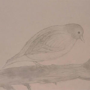 Creation's Final Hour