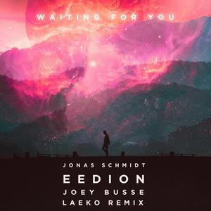 Waiting for You(feat. Joey Busse) (Laeko Remix)