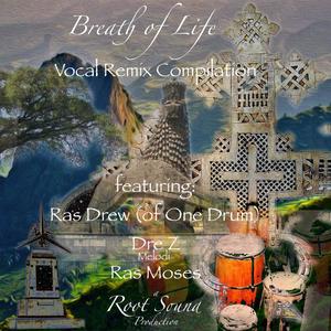 Breath of Life (Vocal Remix Compilation)