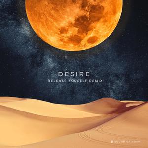 Desire (Release Yourself Tech-House Remix)