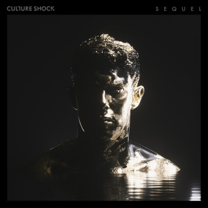 Discotheque (Totally Enormous Extinct Dinosaurs Remix)
