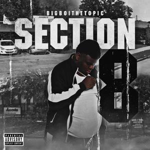 Section 8 (Explicit)