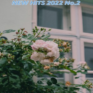 Joanna (DJ Asher & ScreeN Remix Radio Edit|New Ver.)
