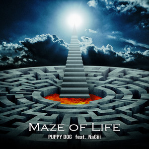 MAZE OF LIFE