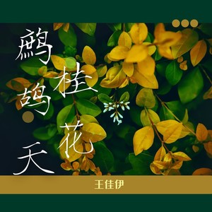 鹧鸪天—桂花