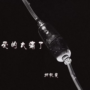 爱的太痛了（劝自己放开手）