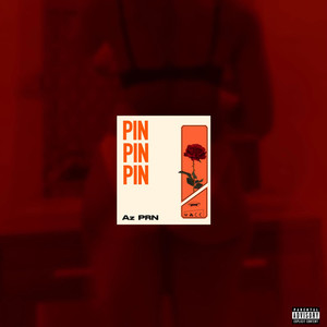 PIN (Explicit)