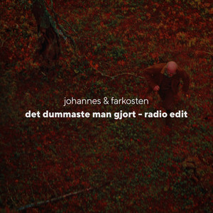 Det dummaste man gjort (Radio Edit)