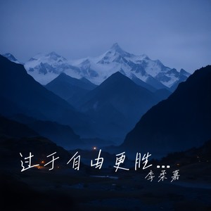 我不想找一个跟我搭伙过日子的人1.1x