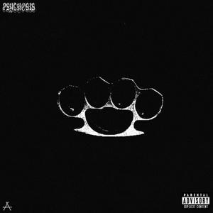 Chrome Knuckles (Punk *****) [Explicit]