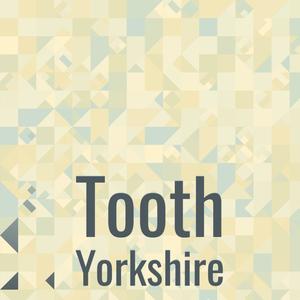 Tooth Yorkshire