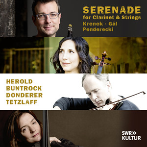 Clarinet Quartet - IV. Abschied. Larghetto