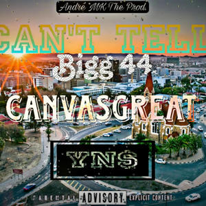 Can't Tell (feat. Bigg44 & YN$) (Explicit)