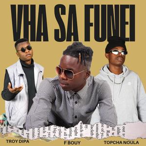 Vha sa funei (feat. Troy dipa & Topcha noula) [Explicit]