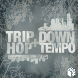 Trip-Hop + Downtempo