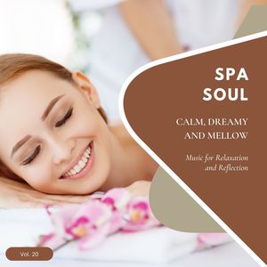 Spa Soul - Calm, Dreamy And Mellow Music For Relaxation And Reflextion, Vol. 20