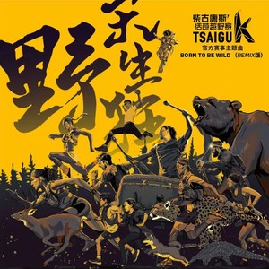 柴古唐斯括苍越野赛 赛事主题歌 BORN TO BE WILD