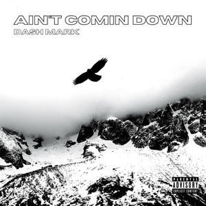 Ain't Coming Down (Explicit)