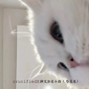 crucifiedX神父加速小曲（哈基米）