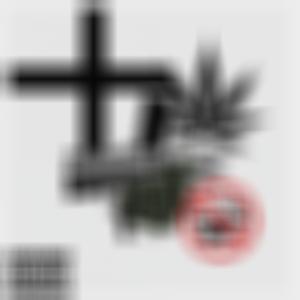 7Tears - LEGAL (Explicit)