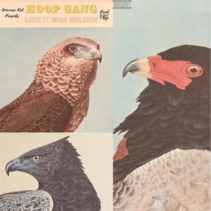 Like It Was Gold (feat. Hoop Gang) (Explicit)