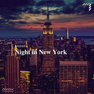 Night In New York