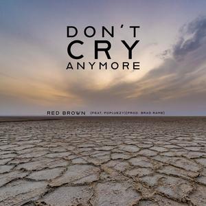 Don't Cry Anymore (feat. Popluezy)