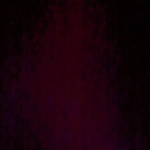 Filthy Animals (FREE PAPE) (feat. Paper Money & Zeer) (Explicit)