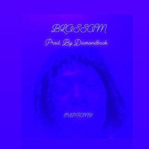 BLOSSOM (Explicit)