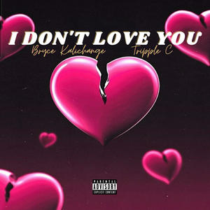 I Don't Love You (feat. Tripple C) (Explicit)