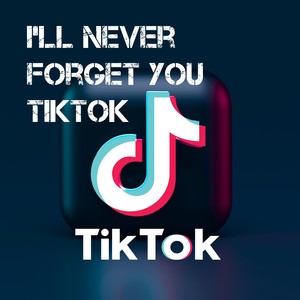 I'll Never Forget You - TikTok