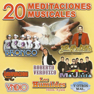 20 Meditaciones Musicales