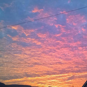 bongo ballshaker blues