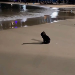 ก็รู้อยู่