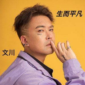 生而平凡 (DJ版伴奏)