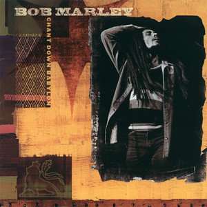Roots, Rock, Reggae (Album Version)