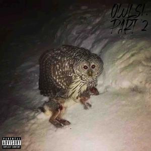 OWLS!, PART 2 (feat. 25BLXCKY) [Explicit]