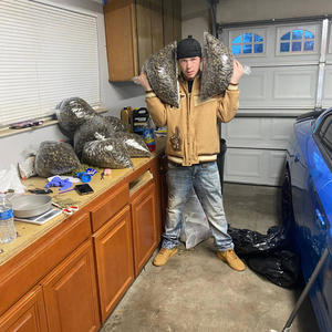 BOX EM IN (feat. TONEOSU1923) (Explicit)