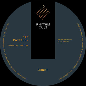 Dark Noises In Dirty Rooms (Paul Loraine Remix)