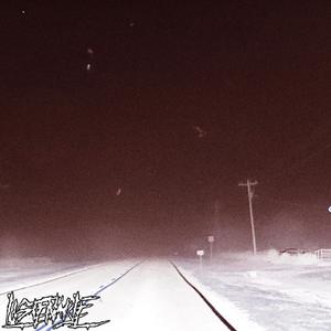 void. (feat. Trvsh.exe) (Explicit)